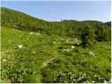 Planina Dol - Rzenik